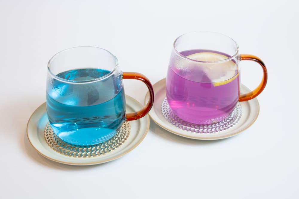 姫路バタフライピーレモンティー